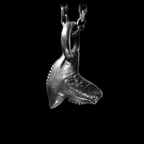 Shark teeth 925 silver necklace Pendant SSP60