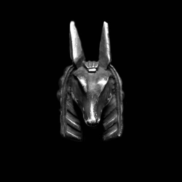 Anubis Ring on your finger you'll experience unparalleled advantages