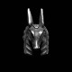 Anubis Ring on your finger you'll experience unparalleled advantages