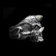 Copper horns skull Ring 925 silver Copper horns No jaw skull rings SSJ158