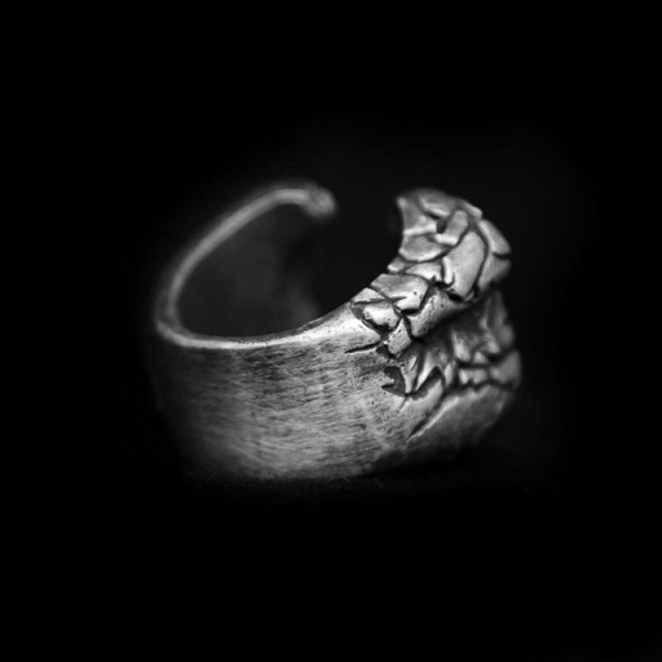 Horseshoe silver ring Silver Skull ring SSJ56