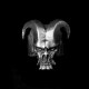 Devil Satan skull ring 925 Silver Goat horn skull rings 