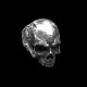 Domineering skull ring 925 silver Realistic skull ring SSJ240