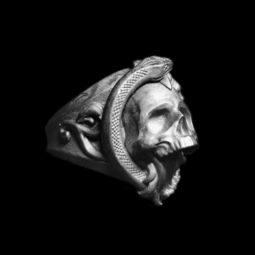 Rattlesnake skull rings creating a visual spectacle that demands attention