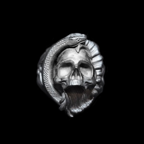 Rattlesnake skull rings creating a visual spectacle that demands attention