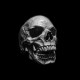Domineering skull rings 925 Silver Skull rings for men SSJ304